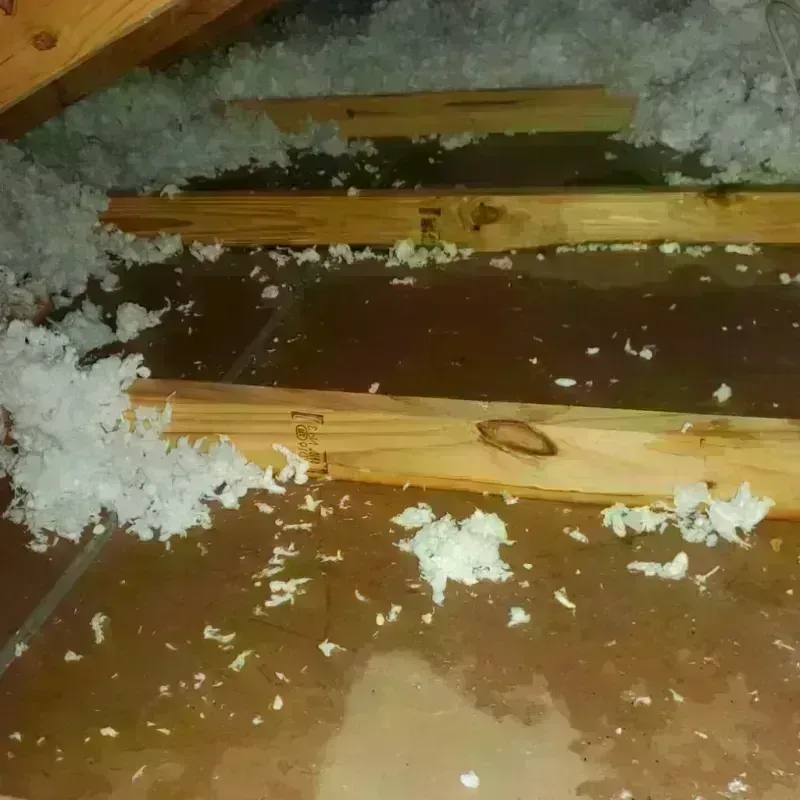 Attic Water Damage in Rich County, UT