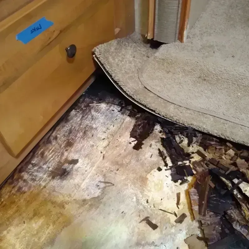 Wood Floor Water Damage in Rich County, UT